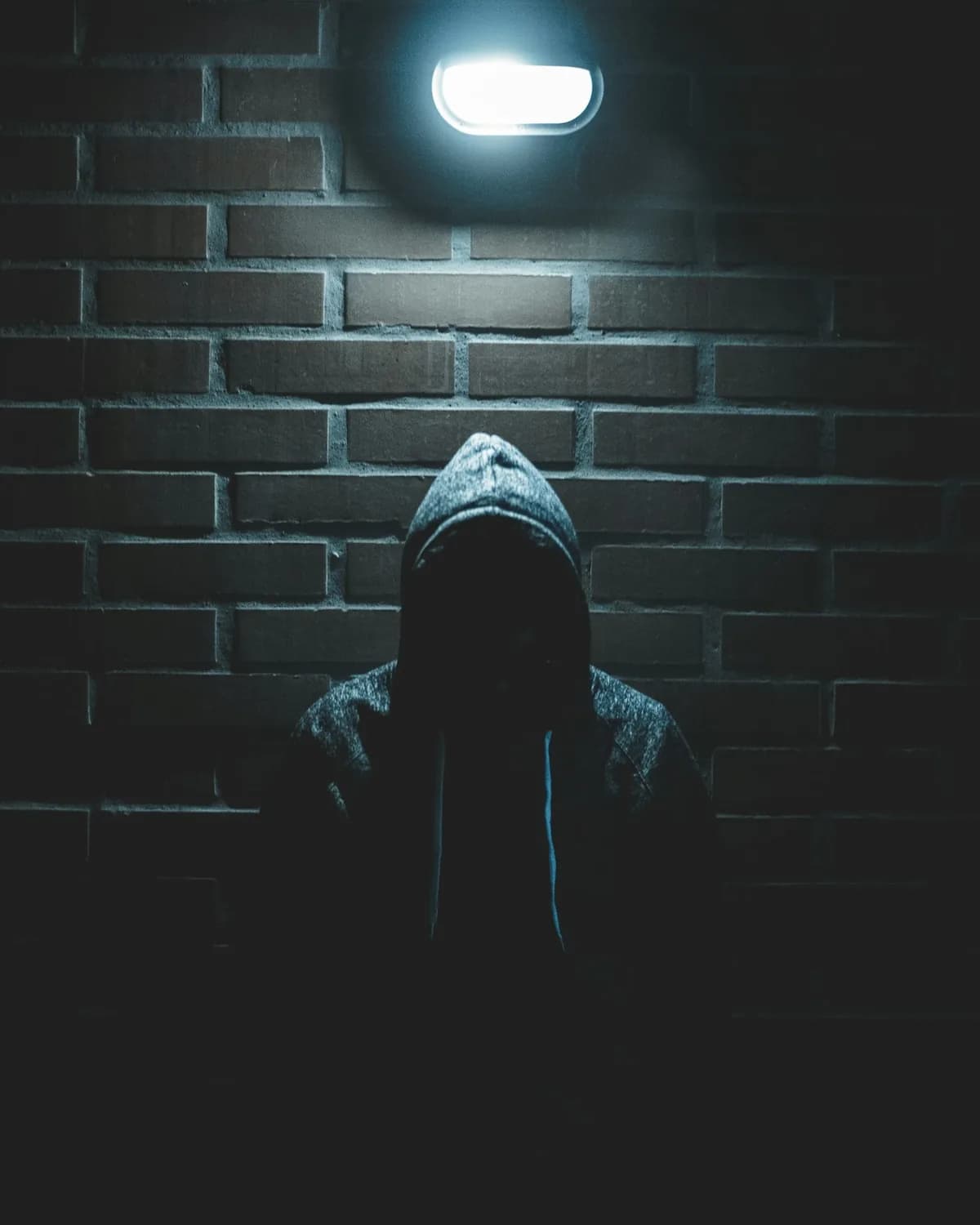 LOWLIGHT HOODIE — grey