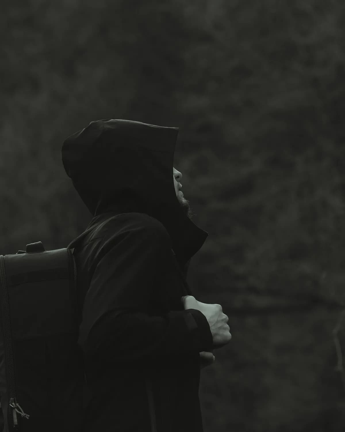 STATIC BLOOM HOODIE — stone